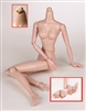 REPLACEMENT BODY FOR GENE TYPE DOLLS WITH 2 SETS OF HANDS