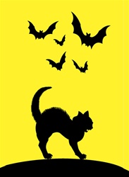 Creepy Curtain - Cat & Bats